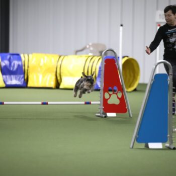 98698330-IMG_7814-1024x683