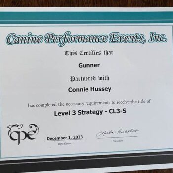 Gunner-CPE-Agility-Title-rotated