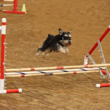 Harriman-Triple-1024x683