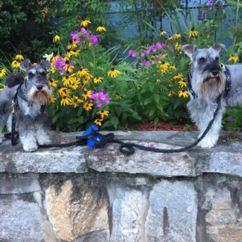 juiceNjinx3-1024x705