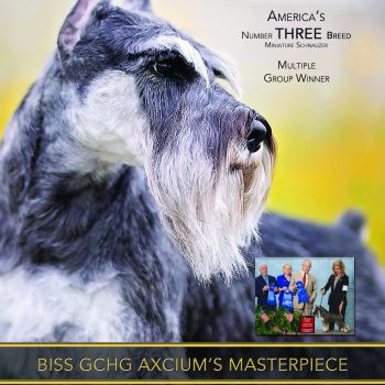 Donna Hills Nov 29, 2024