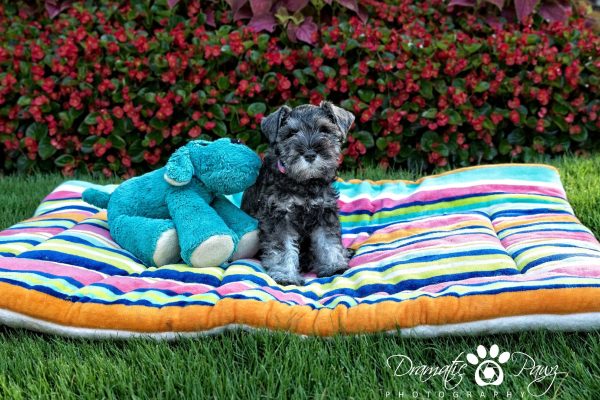 received_10215930118627256